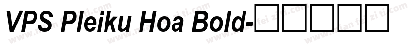 VPS Pleiku Hoa Bold字体转换